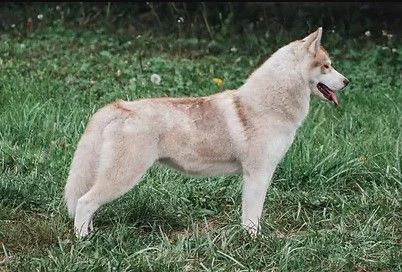 Photo of Mystic Winner Ms. Iracebeth of Crims