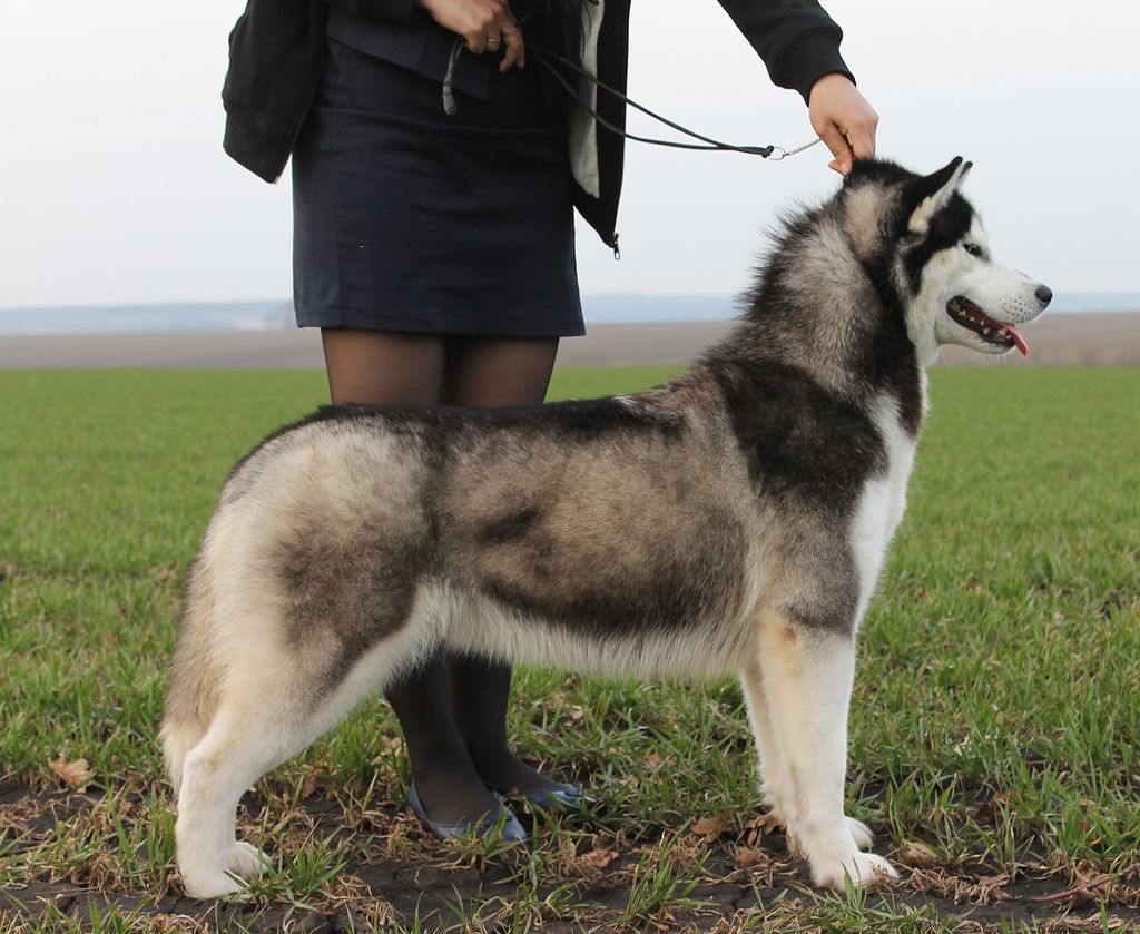 Photo of The Best For S. Luna The Future Is Ours