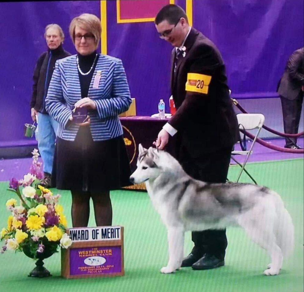 Photo of Diamondt’s Sharp Dressed Man