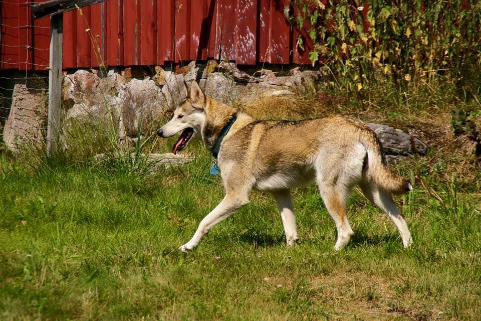 Photo of Leeloo