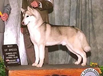 Photo of Fullmoon's Private Knight