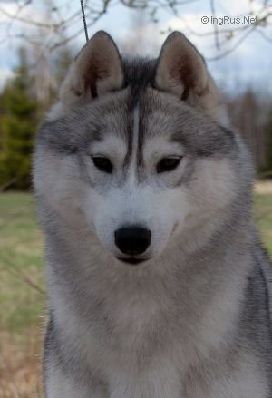 Photo of Arctic Power Just Different