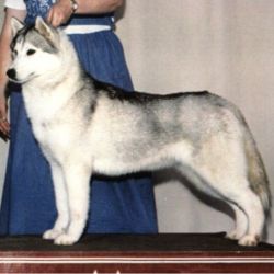 Photo of Kaila's Krystal Lite O'Ziemabora