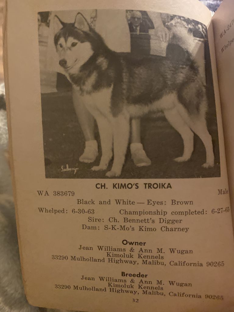 Photo of Kimo’s Troika
