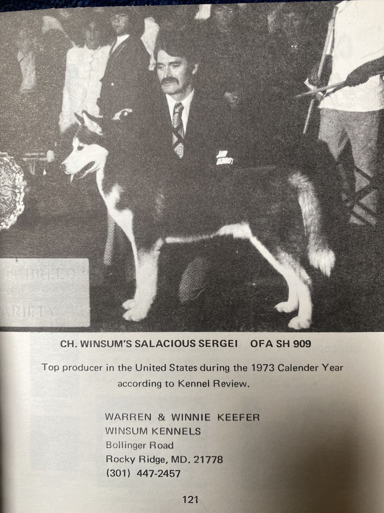 Photo of Winsum’s Salacious Sergei