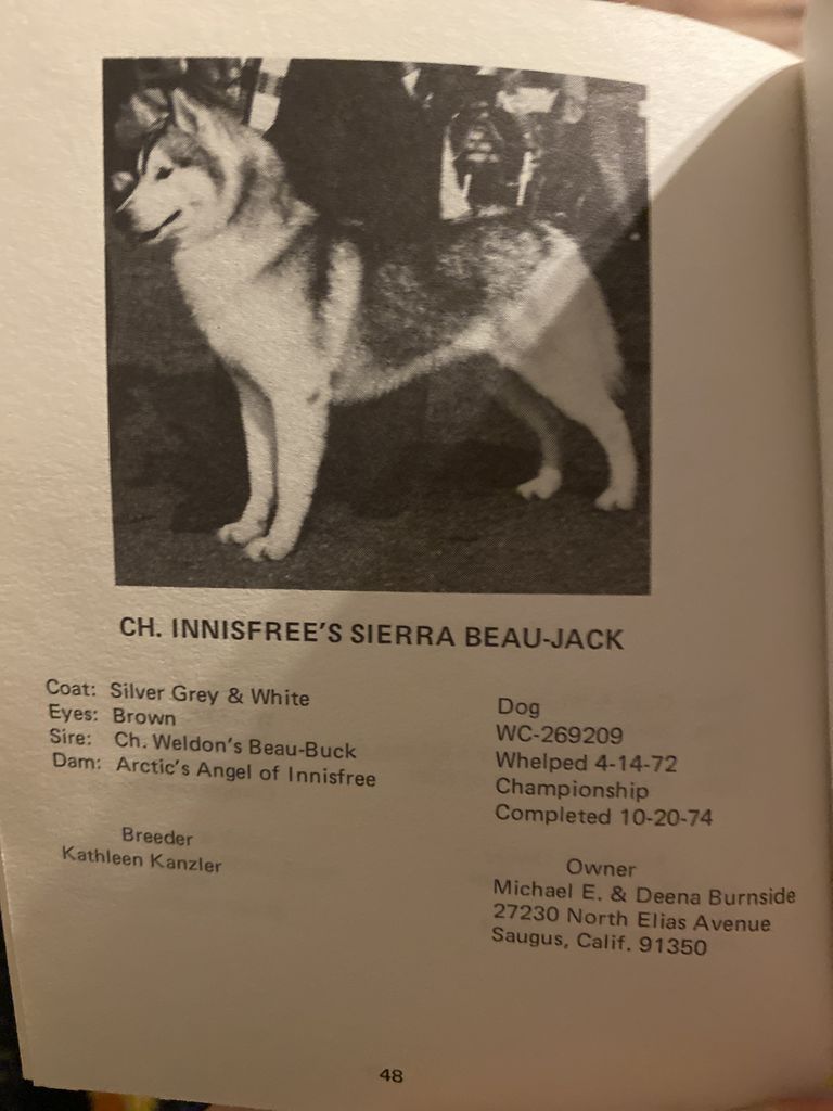 Photo of Innisfree’s Sierra Beau-Jack