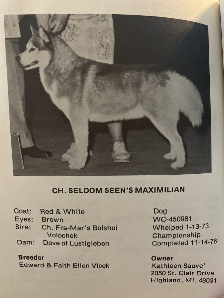 Photo of Seldom Seen’s Maximilian
