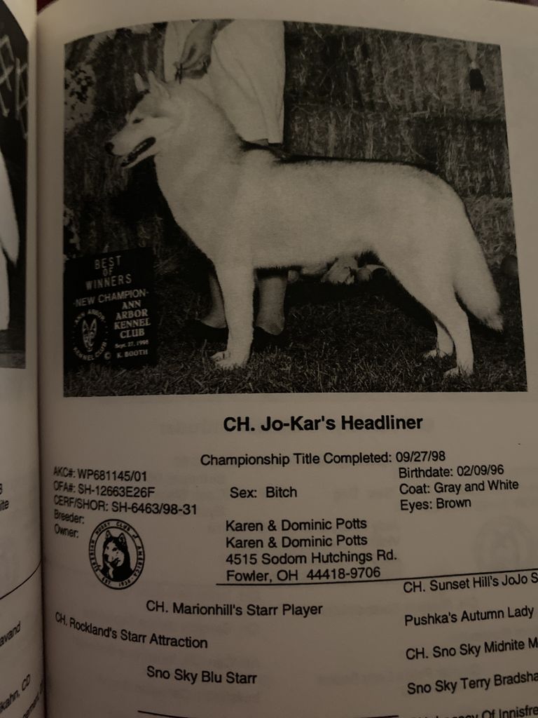 Photo of Jo-Kar’s Headliner