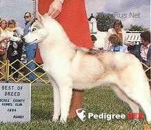 Photo of Innisfree's Silver Harvest