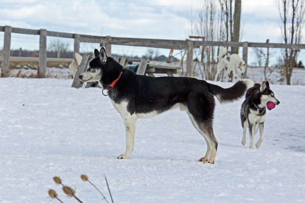 Photo of Jedeye Ryker Of Manitou