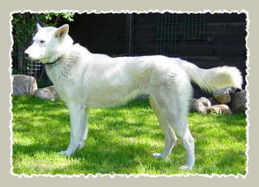 Photo of Howling Spirits Zoe