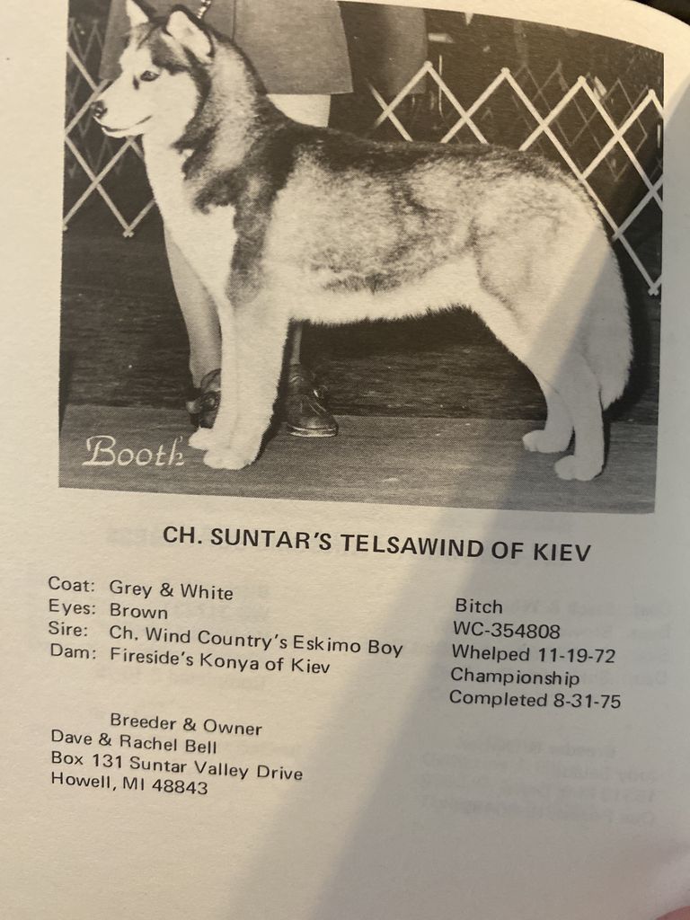 Photo of Suntar’s Telsawind Of Kiev