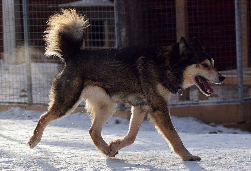 Photo of Vox Celesta’s Jalla Jalla