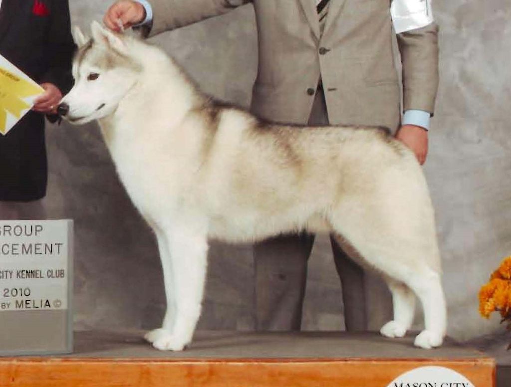 Photo of Tovik’s Western Design
