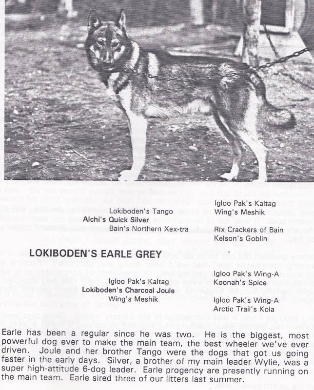 Photo of Lokiboden's Earle Grey