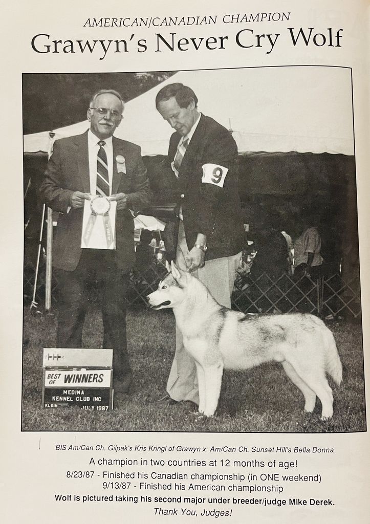 Photo of Grawyn’s Never Cry Wolf