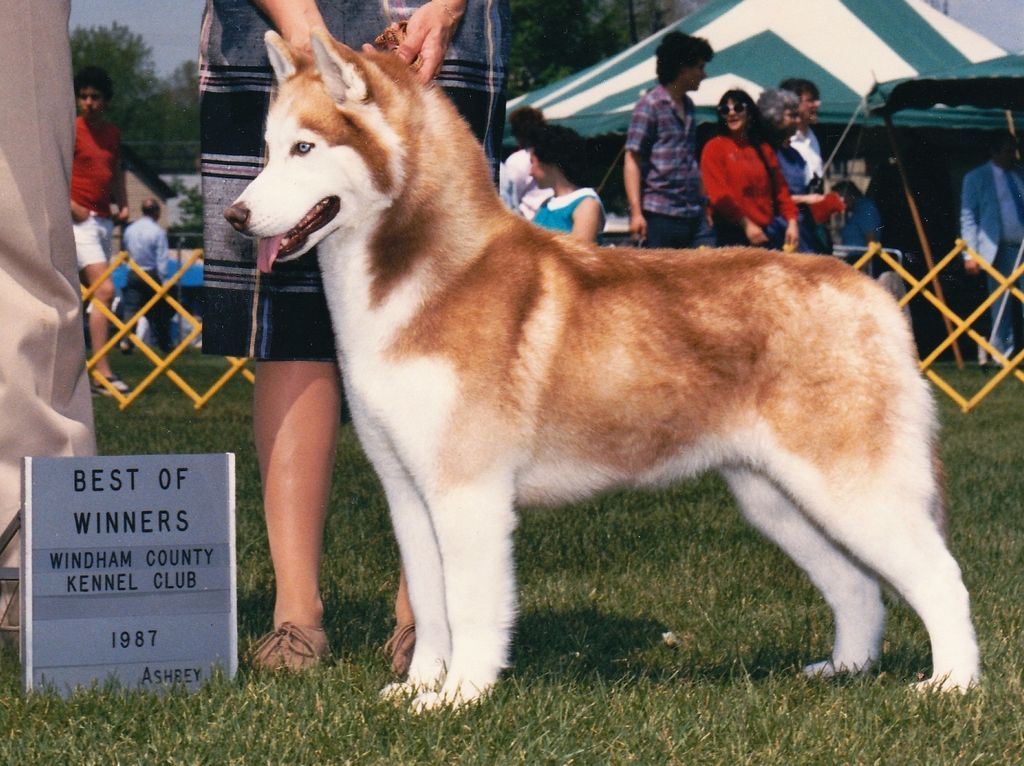 Photo of Mohawk’s Oneha of Talocon