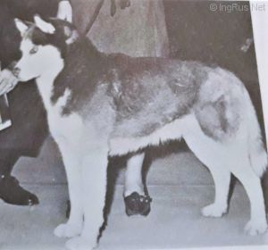 Photo of Savdajaure’s Miuk