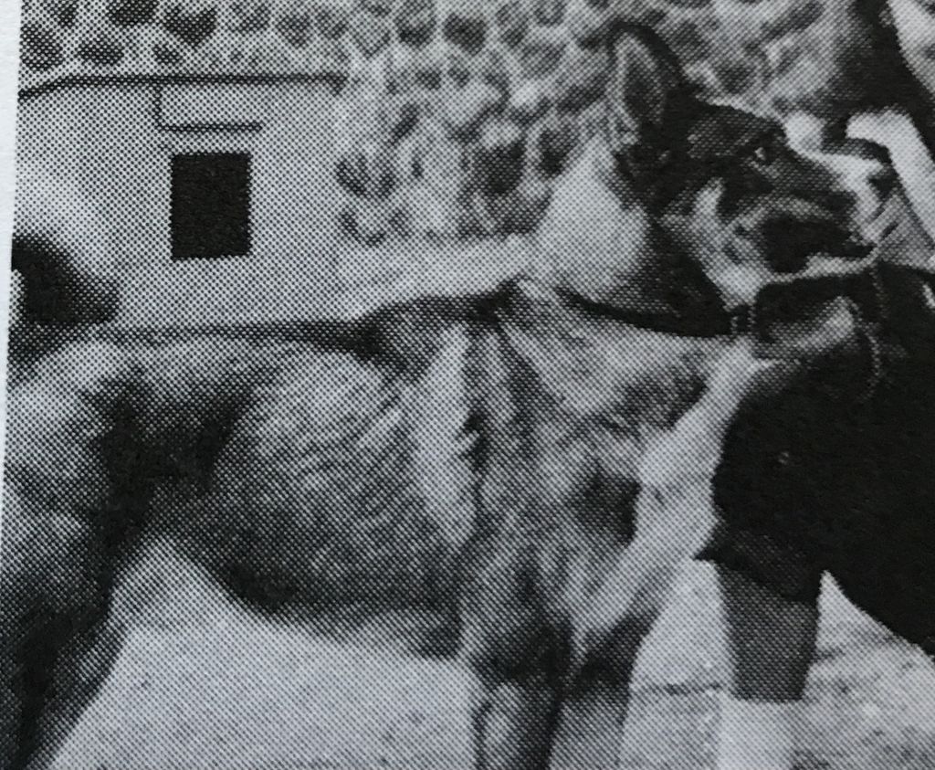 Photo of Marko Of Seppala