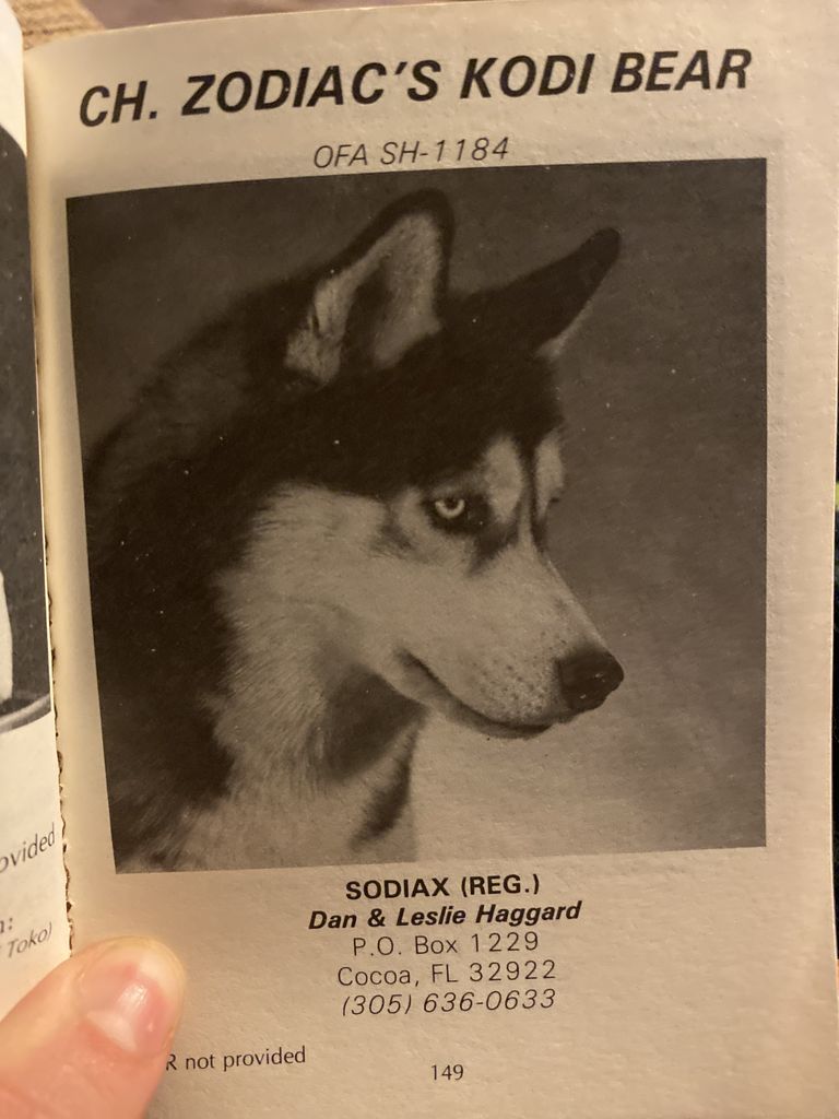Photo of Zodiac’s Kodi Bear