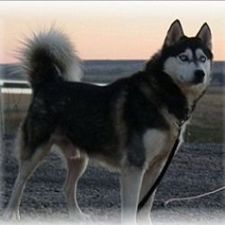 Photo of Hero’s Black Tie Affair