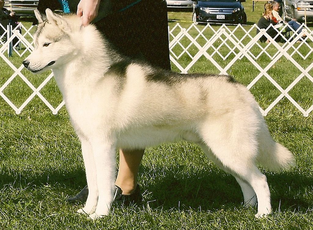Photo of Nykiska’s Gentlemen Start Your Engines