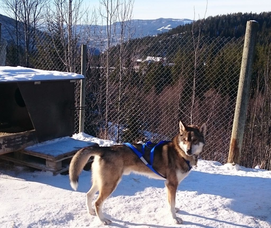 Photo of Nilsen