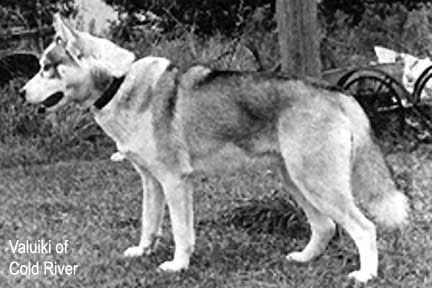 Photo of Valuiki Of Cold River