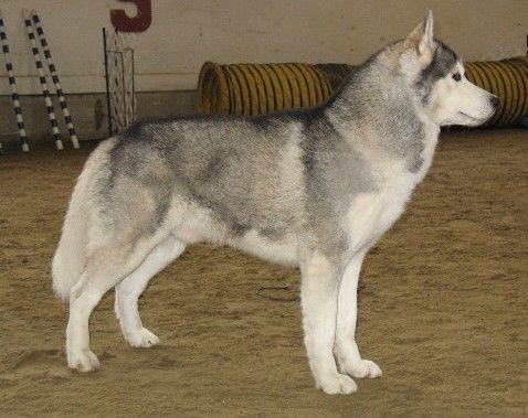 Photo of Syntari’s Cashin’ In