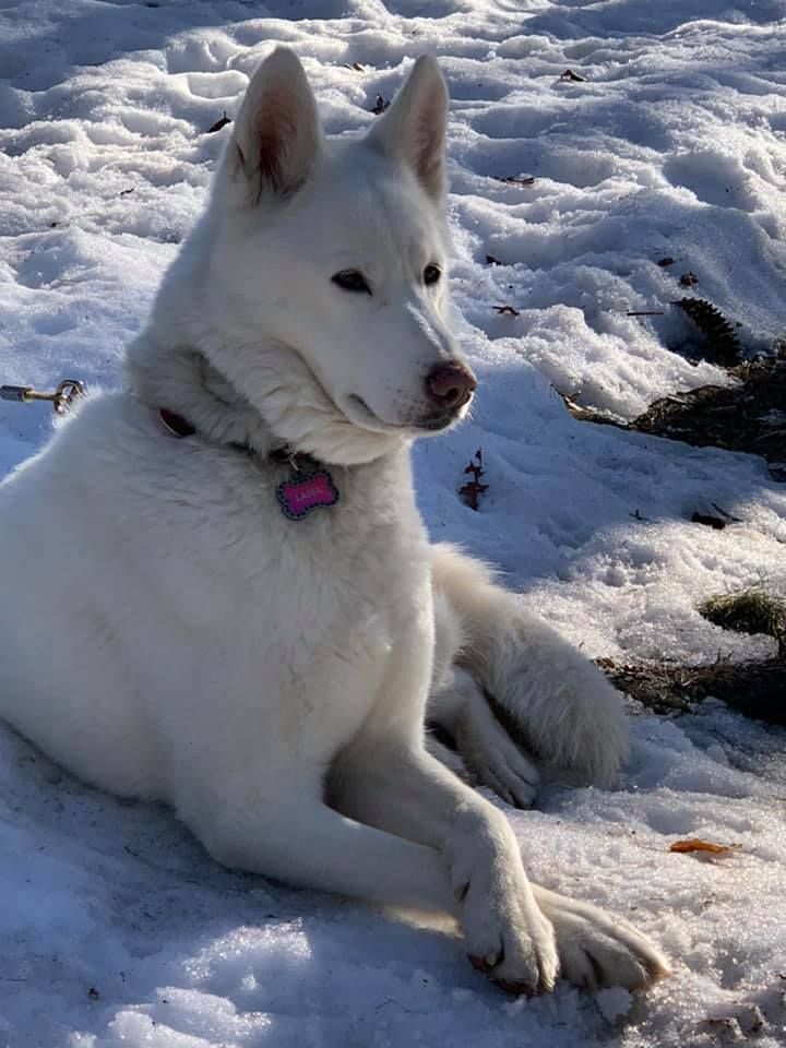 Photo of Rajenn’s Qinnik