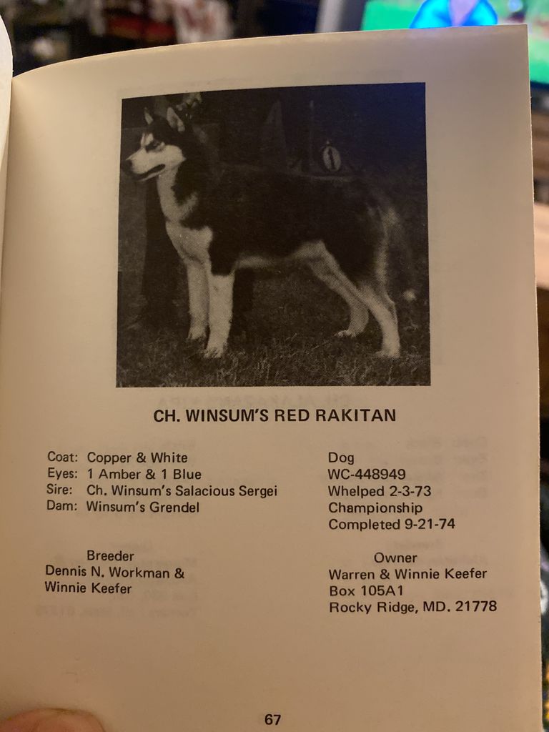 Photo of Winsum’s Red Rakitan