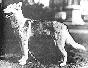 Photo of Tanta Of Alyeska
