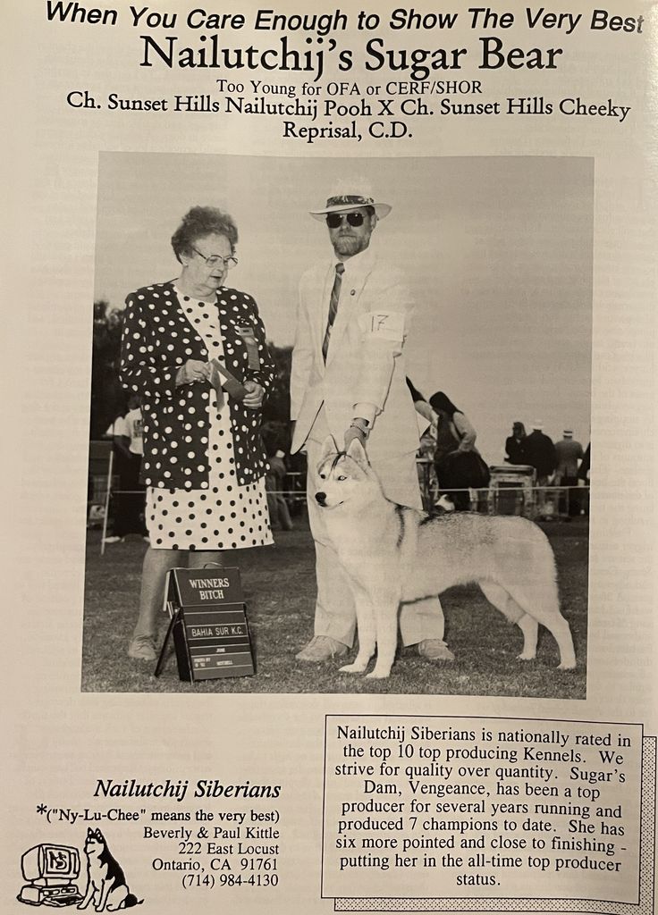 Photo of Nailutchij’s Sugar Bear