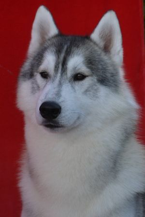 Photo of E-Welk On Weite Arkan