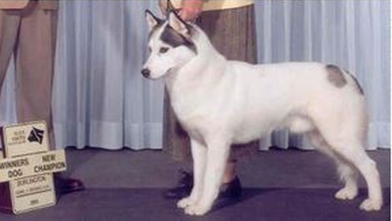 Photo of Kabu’s Getbakjak At Tundrafoot