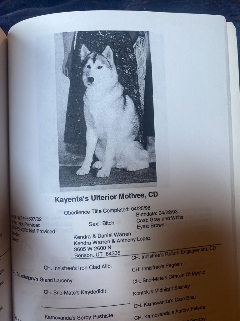 Photo of Kayenta’s Ulterior Motives