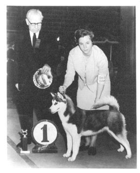 Photo of Koryak’s Scarlet Scandal