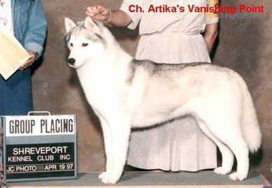 Photo of Artikas Vanishing Point