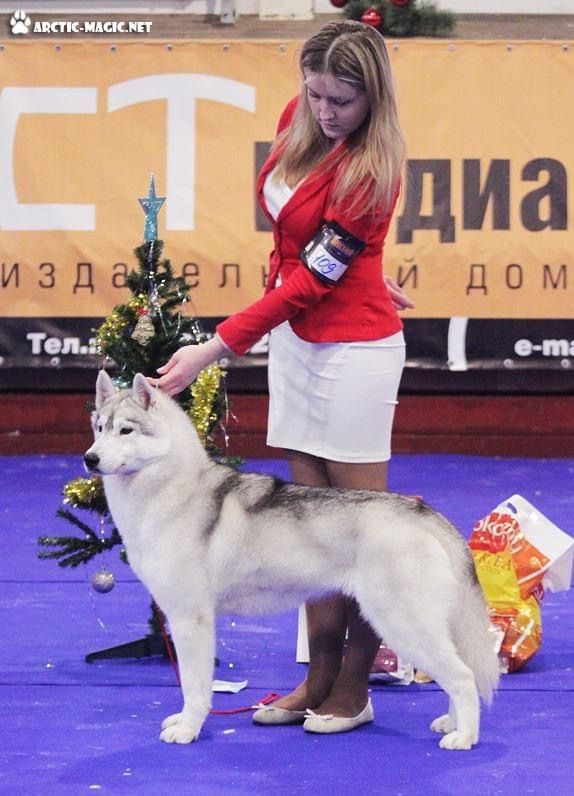 Photo of Casablanca of Siberian Lady