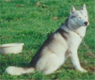 Photo of Debie De La Vieuville