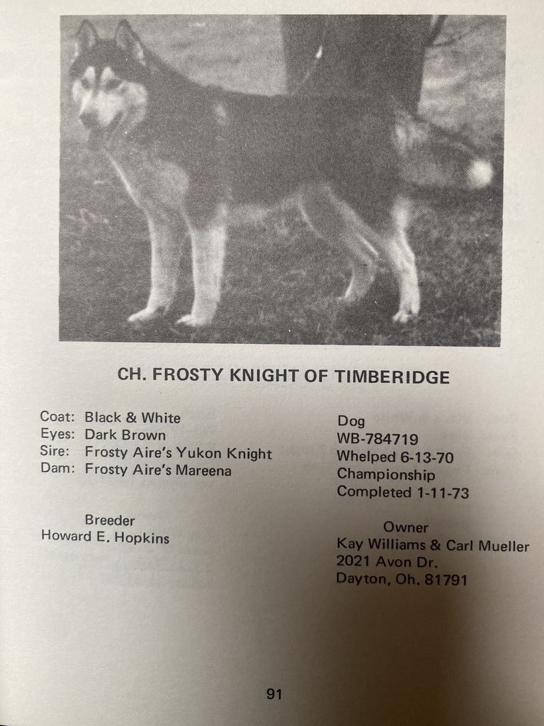 Photo of Frosty Knight of Timberidge