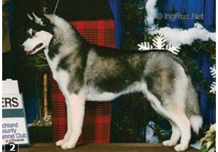 Photo of Huskavarna I Hope You Dance