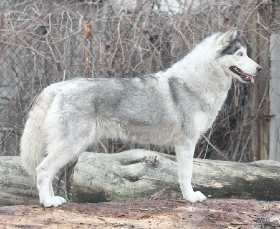 Photo of Belstok Incantation