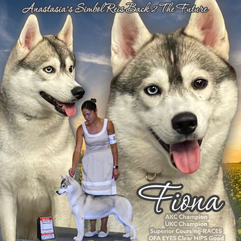 Photo of Anastasia’s SimbolReis Bk2The Future