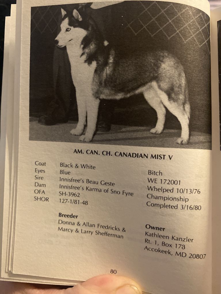 Photo of Canadian Mist V