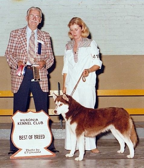 Photo of Anikita's Mochamindu