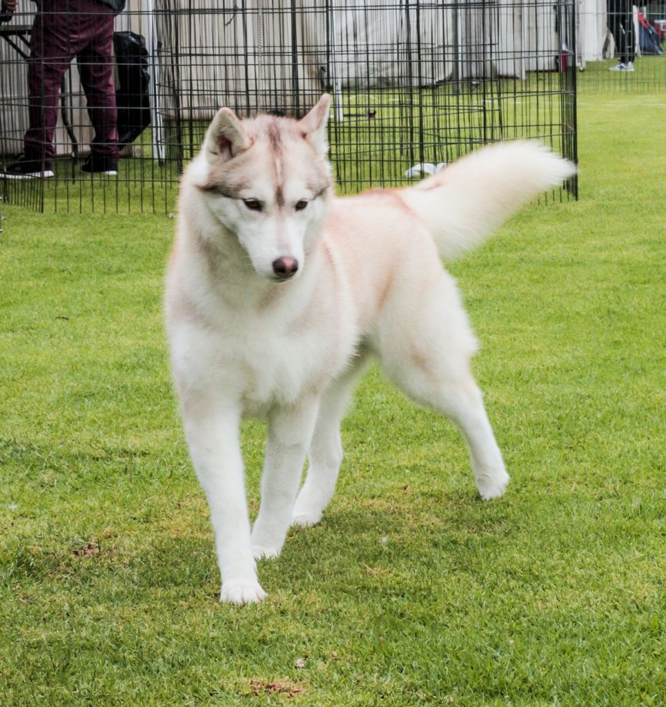 Photo of Alpha (Huerta)