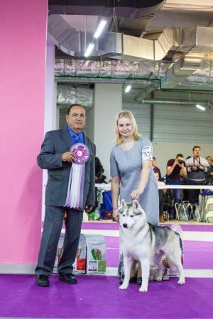 Photo of Astra Brama Armando Diaz