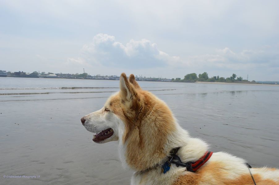 Photo of Yuri