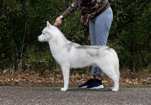 Photo of Mystic Winner X-Factor